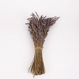 Lavender (Italian), Dried, Natural Blue, 100g Bunch
