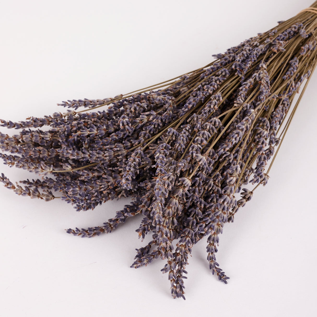 Lavender (Italian), Dried, Natural Blue, 100g Bunch