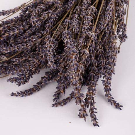 Lavender (Italian), Dried, Natural Blue, 100g Bunch