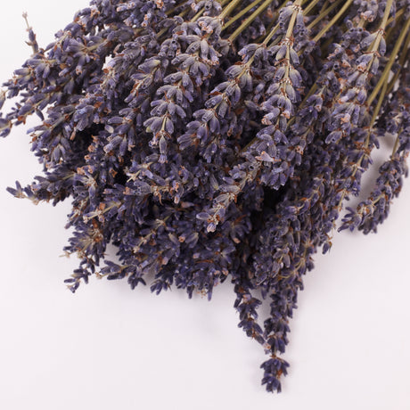 Lavender (Italian), Dried, Natural Blue, 100g Bunch