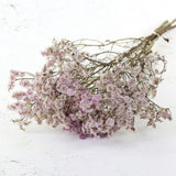 Dried Limonium Natural Pink Bunch