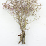 Dried Limonium Natural Pink Bunch