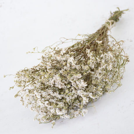 Limonium Sinensis, Dried, White