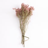 Limonium, Dried, Natural Coral Pink, 60cm
