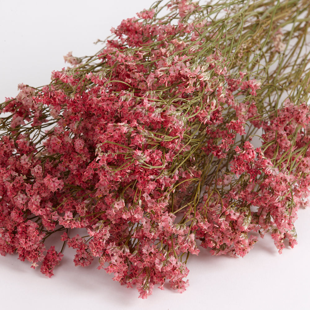 Limonium, Dried, Natural Coral Pink, 60cm
