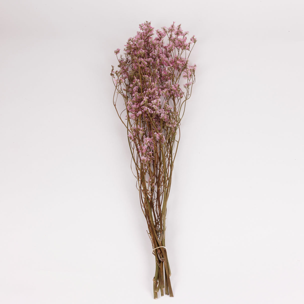 Limonium, Dried, Natural Pink, 60cm