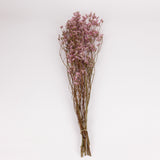 Limonium, Dried, Natural Pink, 60cm