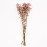 Limonium, Dried, Natural Pink, 60cm