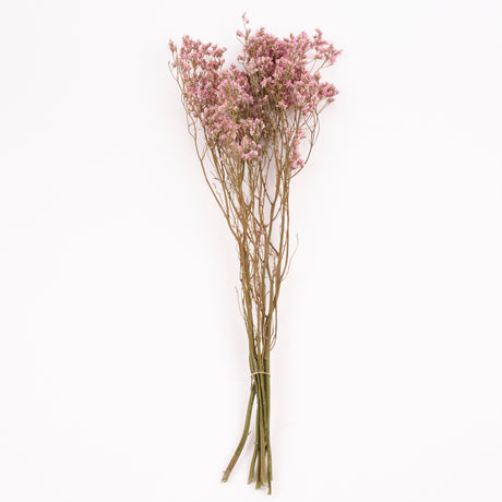 Limonium, Dried, Natural Pink, 60cm