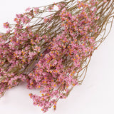 Limonium, Dried, Natural Pink, 60cm