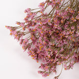 Limonium, Dried, Natural Pink, 60cm
