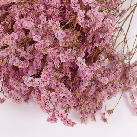 Limonium, Dried, Natural Light Pink, 60cm