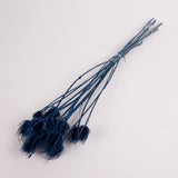 Cardoon Thistle, Dyed Blue, Bunch