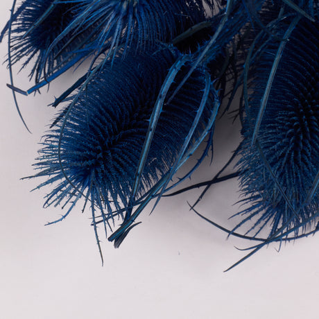 Cardoon Thistle, Dyed Blue, Bunch