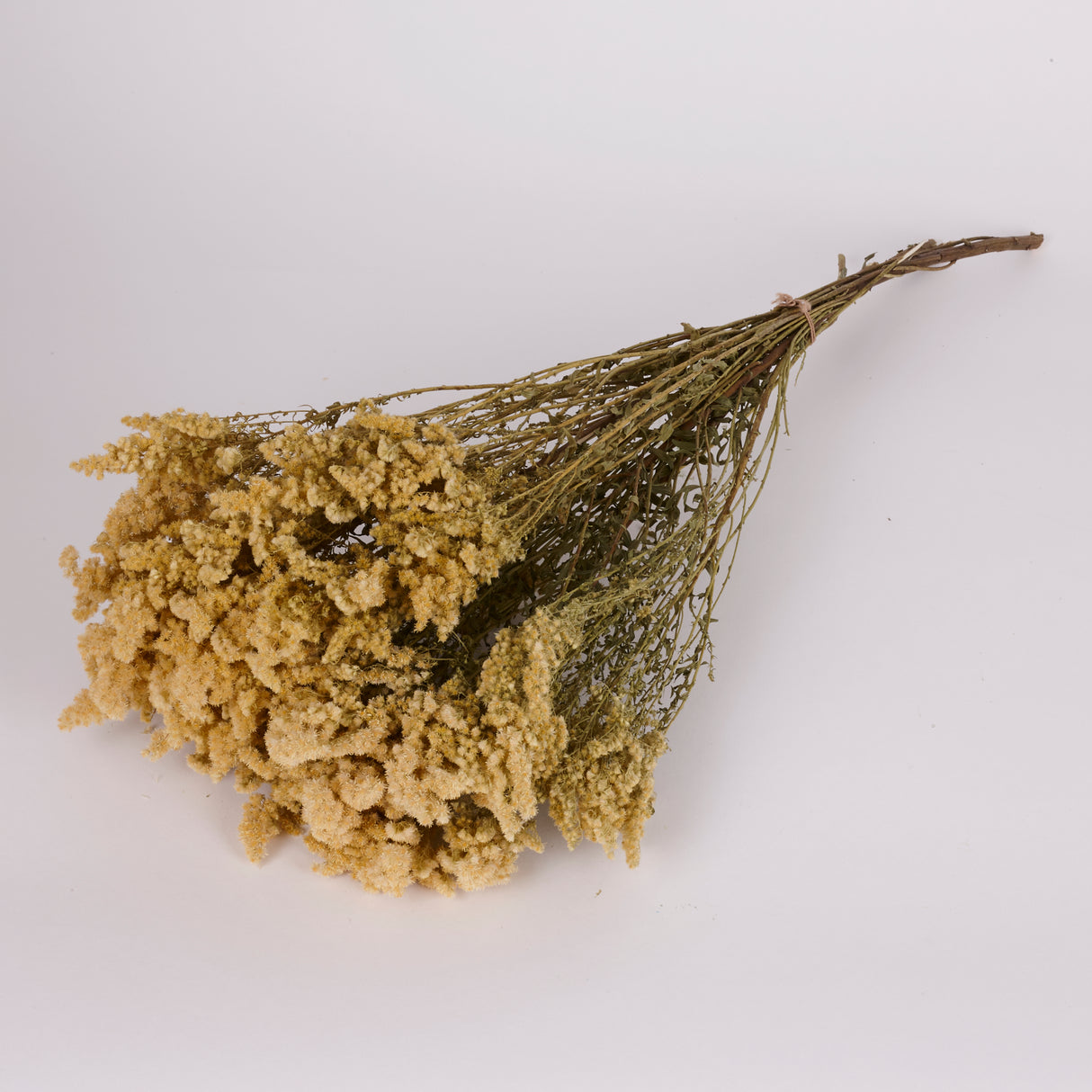 Solidago Flower, Dried, Natural Yellow