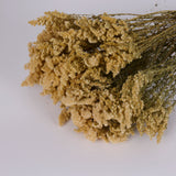 Solidago Flower, Dried, Natural Yellow