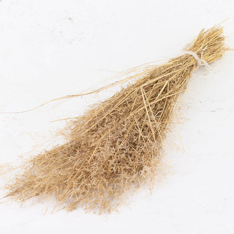 Munni Grass, natural, Bunch