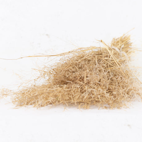 Munni Grass, natural, Bunch