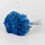 Preserved Hydrangea, Light Blue