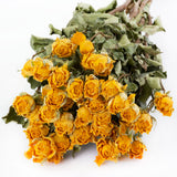 a bunch of dried yellow roses, which have an intensified, deep yellow colour
