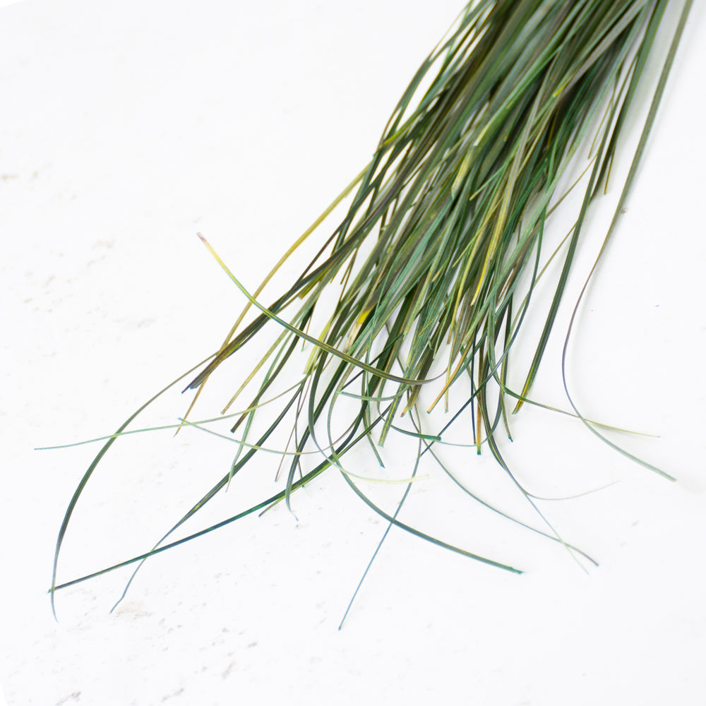 Preserved Beargrass, Green, 100g