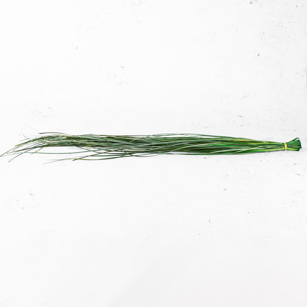 Preserved Beargrass, Green, 100g