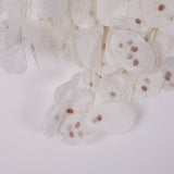 Lunaria, Honesty, White, 80g Bunch