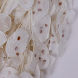 Lunaria, Honesty, White, 80g Bunch