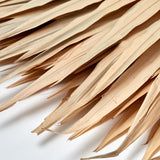 Fan Palm Leaves x 5, Dried, Natural, 60-90cm