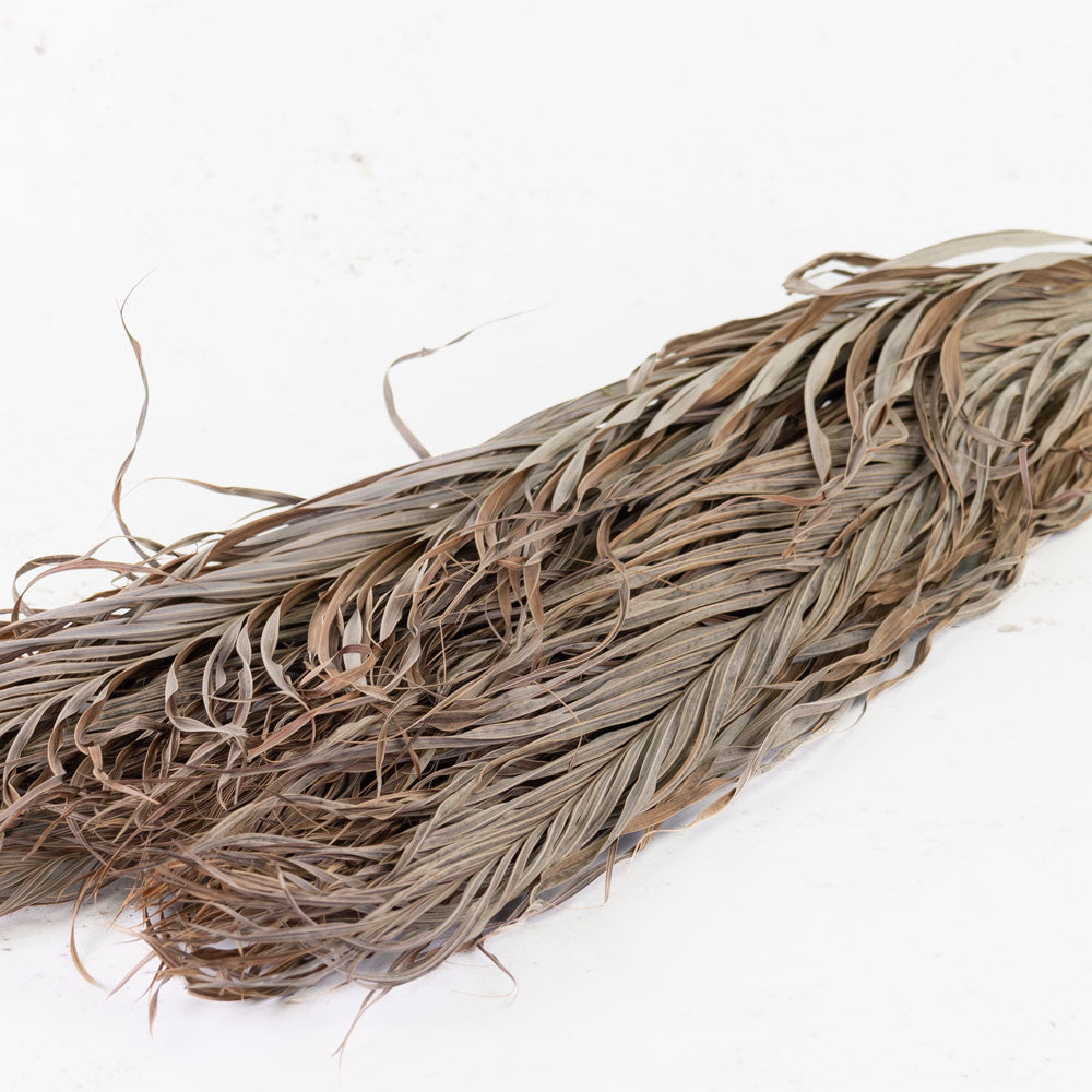 Kentia Palm Leaves, Dried, 80cm, Bunch x 10