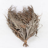 Kentia Palm Leaves, Dried, 80cm, Bunch x 10