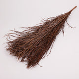 Kentia Palm Leaves, Dried, 80cm, Bunch x 10