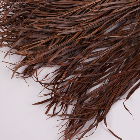 Kentia Palm Leaves, Dried, 80cm, Bunch x 10