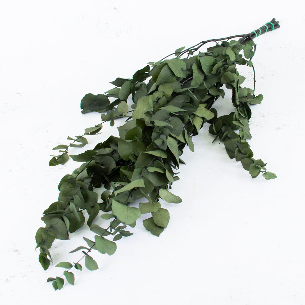 Salal and Populus with Berries Natural Green Garland