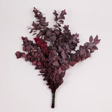 Eucalyptus Stuartiana, Preserved, Cyclamen, 150g