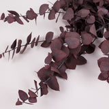 Eucalyptus Stuartiana, Preserved, Cyclamen, 150g