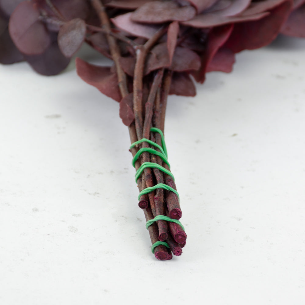 Eucalyptus Stuartiana, Preserved, Cyclamen, 150g