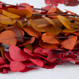 Eucalyptus Stuartiana Preserved Autumn Colours