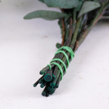 Eucalyptus Stuartiana, Preserved, Green/Blue, 150g
