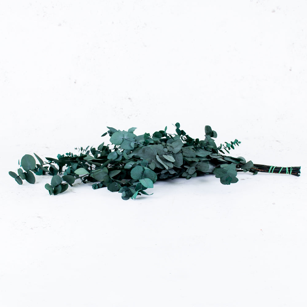 Eucalyptus Stuartiana, Preserved, Green/Blue, 150g