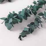 Eucalyptus Stuartiana, Preserved, Green/Blue, 150g