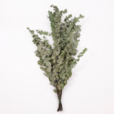 Eucalyptus Stuartiana, Preserved, Green Lawn, 150g