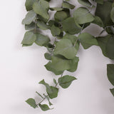 Eucalyptus Stuartiana, Preserved, Green Lawn, 150g