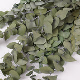 Eucalyptus Stuartiana, Preserved, Green Lawn, 150g