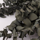 Eucalyptus Stuartiana, Preserved, Dark Green, 150g