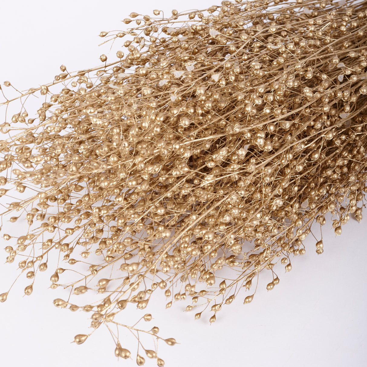 Lepidium, Atraxa, Dried, Dyed Gold
