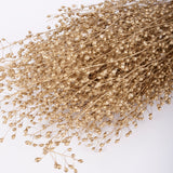 Lepidium, Atraxa, Dried, Dyed Gold