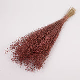 Lepidium atraxa, Dried, Pink, Bunch