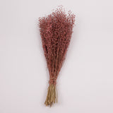 Lepidium atraxa, Dried, Pink, Bunch