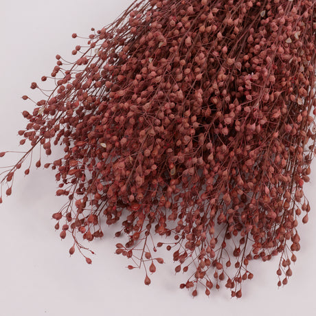 Lepidium atraxa, Dried, Pink, Bunch